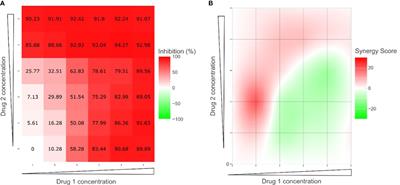 Antitumoral Effect of Plocabulin in High Grade Serous Ovarian Carcinoma Cell Line Models